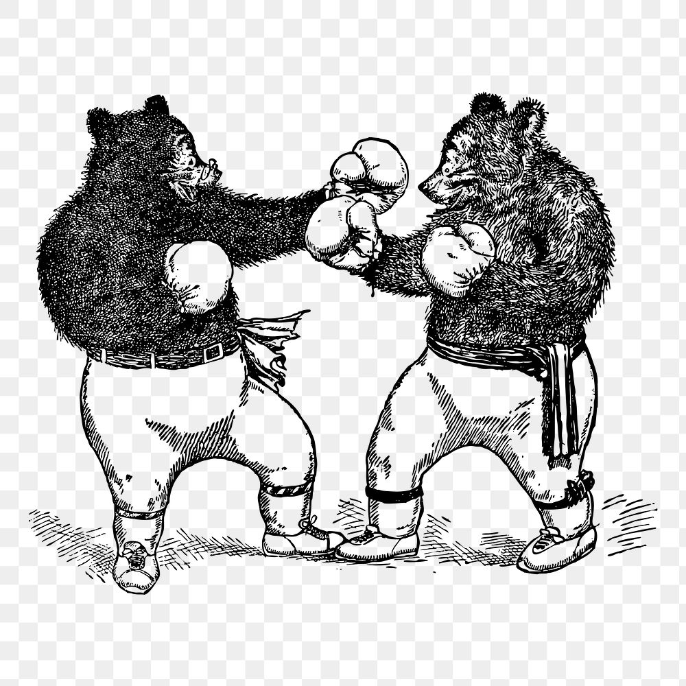 Boxing bears png sticker vintage animal illustration, transparent background. Free public domain CC0 image.