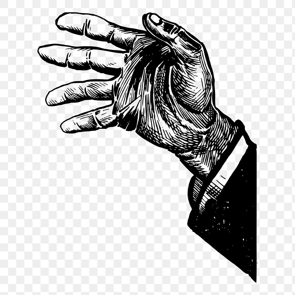 Businessman's palm png, vintage hand illustration, transparent background. Free public domain CC0 image.