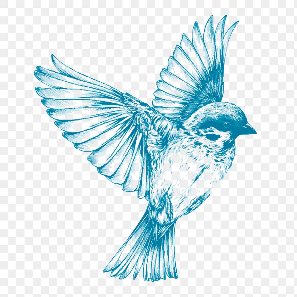 Cute blue bird watercolor isolated on white Vector Image