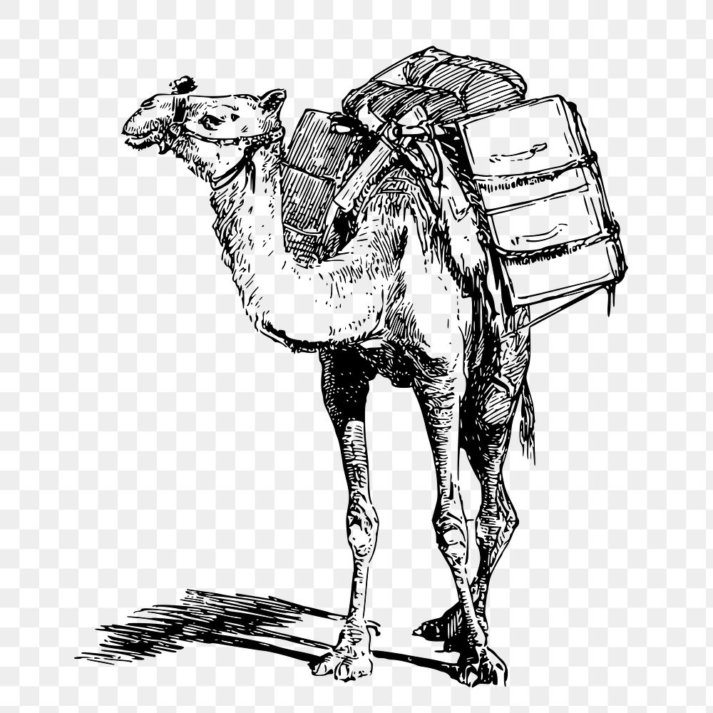 Laden camel png sticker, animal-powered transport illustration on transparent background. Free public domain CC0 image.