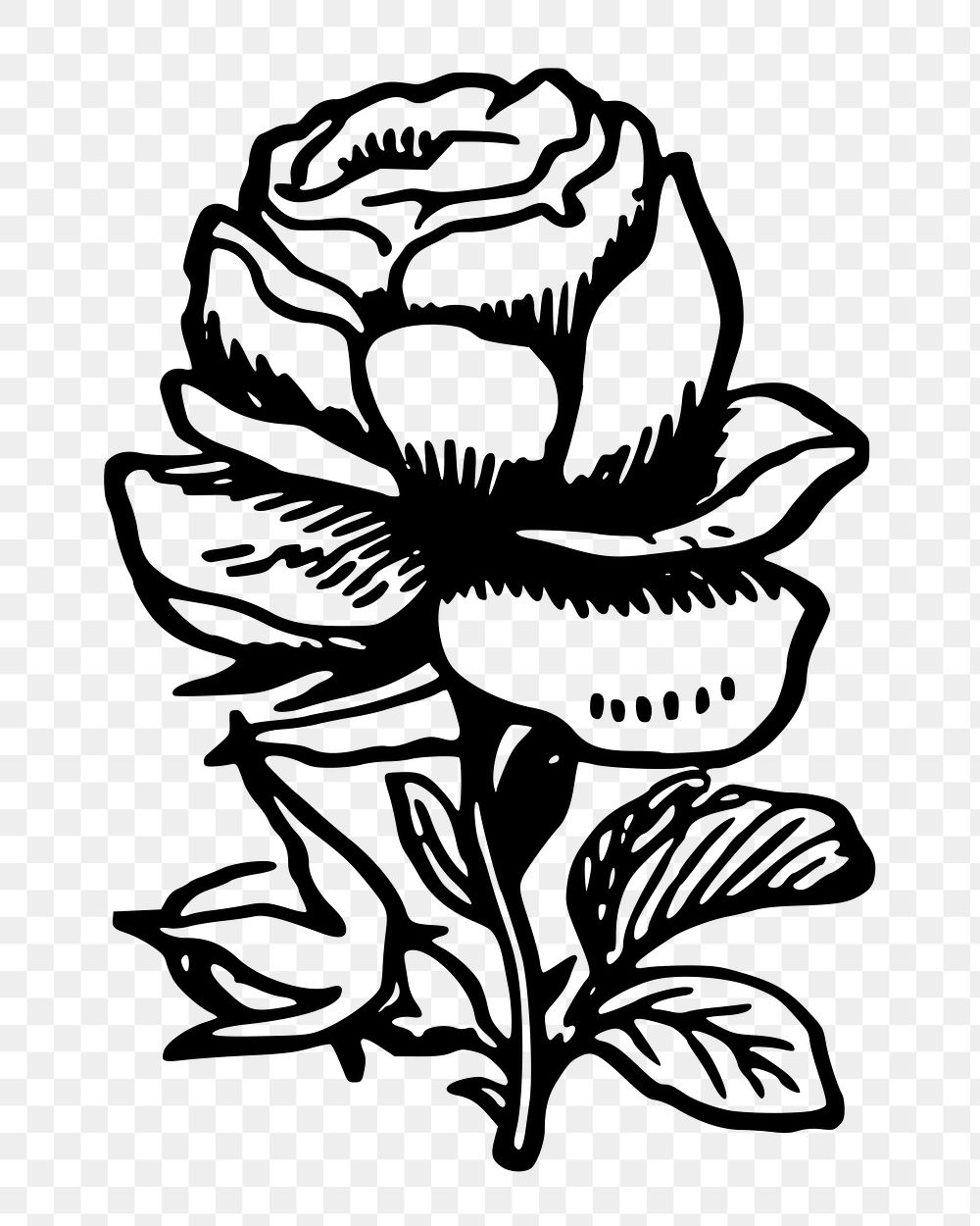 Rose flower png sticker, vintage | Free PNG - rawpixel