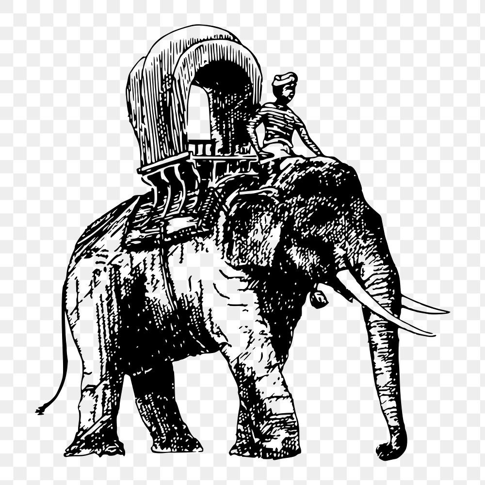 Elephant ride png sticker,  animal carriage illustration on transparent background. Free public domain CC0 image.
