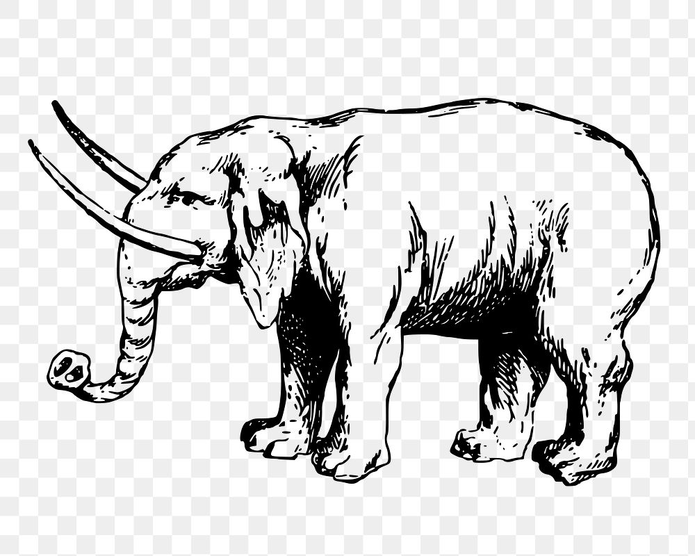 Elephant png sticker, vintage animal illustration on transparent background. Free public domain CC0 image.