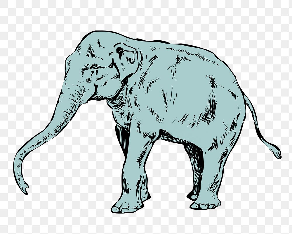 Elephant png sticker, wildlife vintage illustration on transparent background. Free public domain CC0 image.