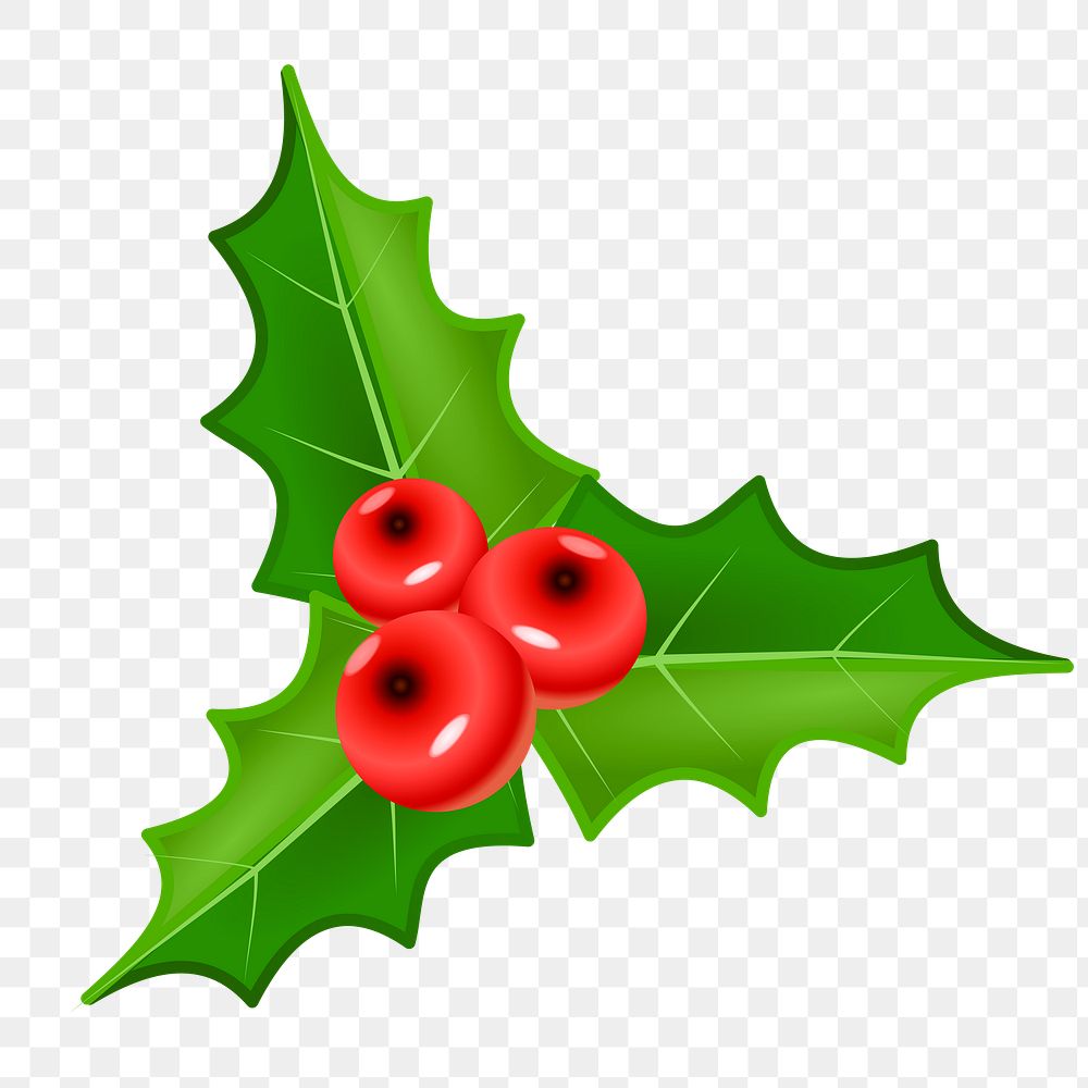 Christmas holly png sticker, transparent background. Free public domain CC0 image.