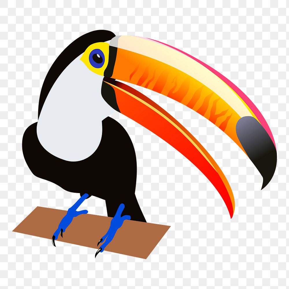 Toucan bird png sticker wild animal illustration, transparent background. Free public domain CC0 image.