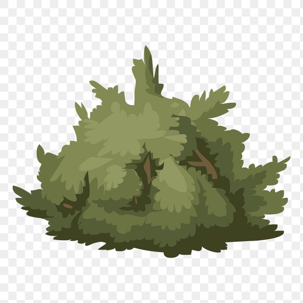 Bush png sticker nature illustration, transparent background. Free public domain CC0 image.