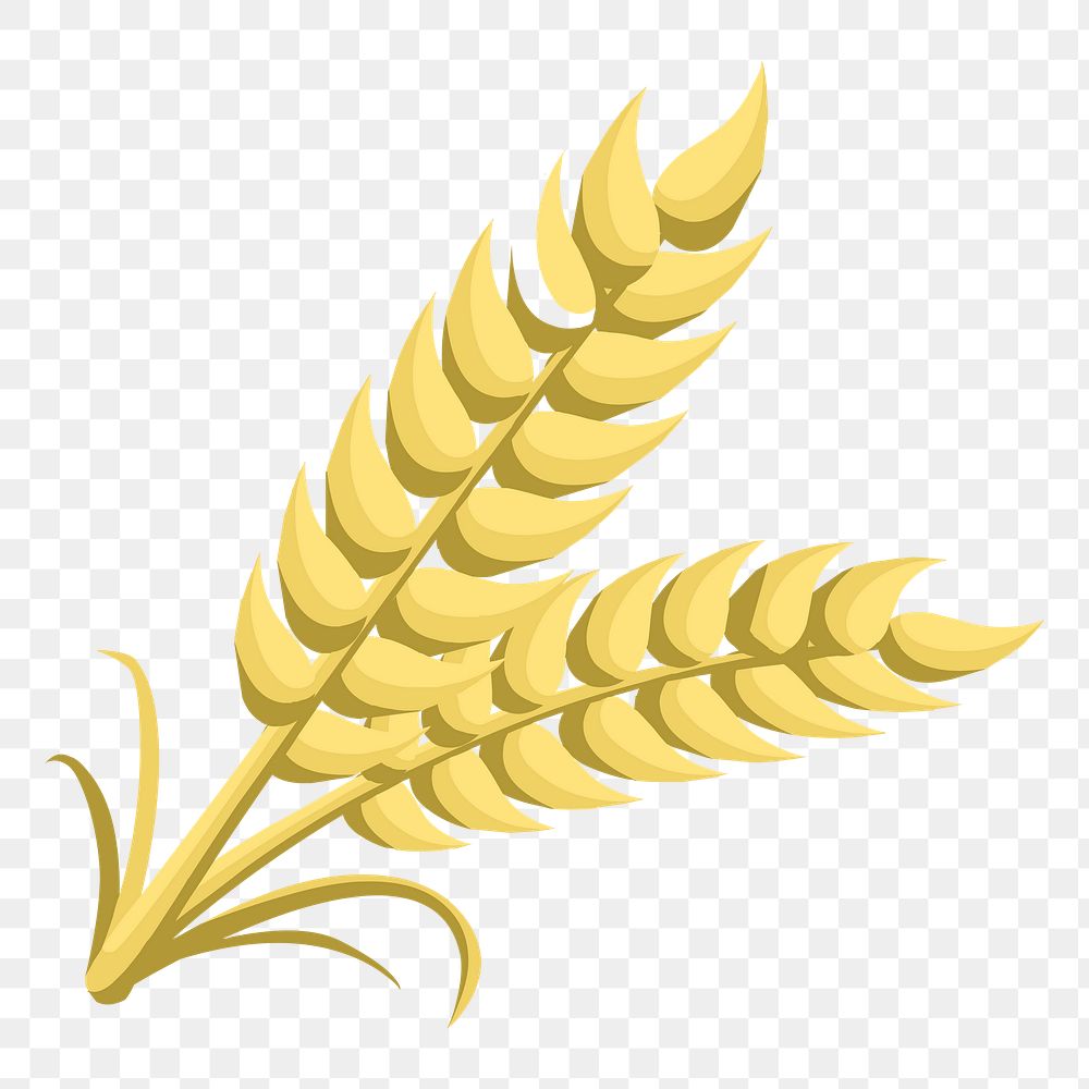 Wheat png sticker food illustration, transparent background. Free public domain CC0 image.