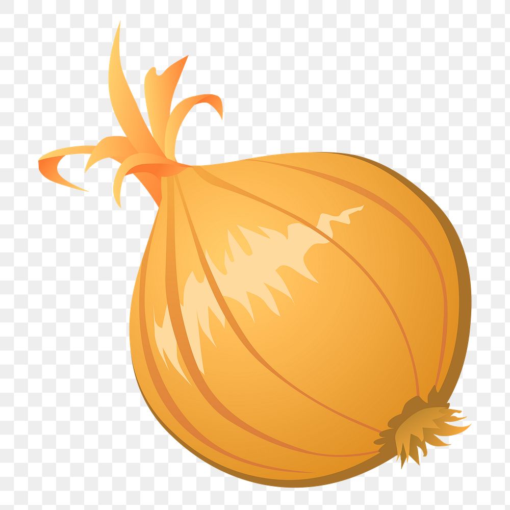 Onion png sticker vegetable illustration, transparent background. Free public domain CC0 image.