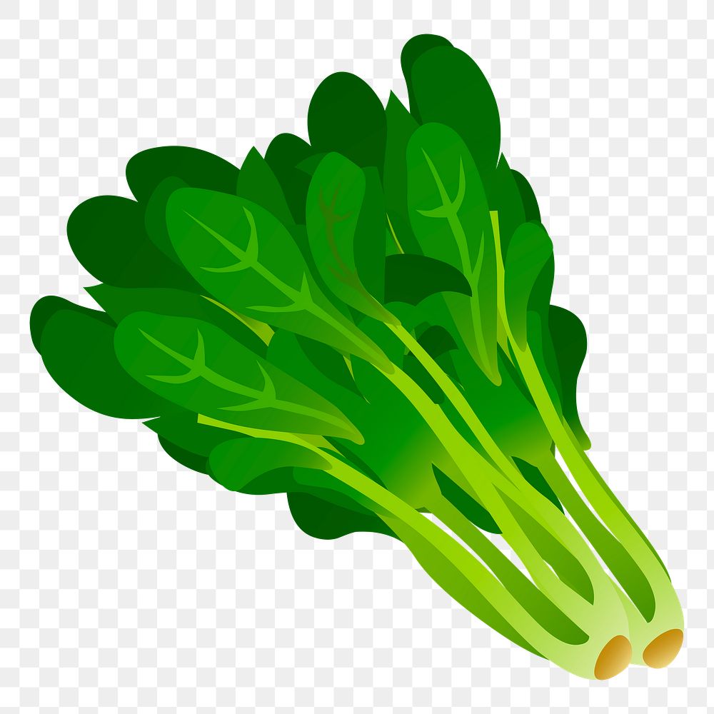 Spinach png sticker vegetable illustration, transparent background. Free public domain CC0 image.