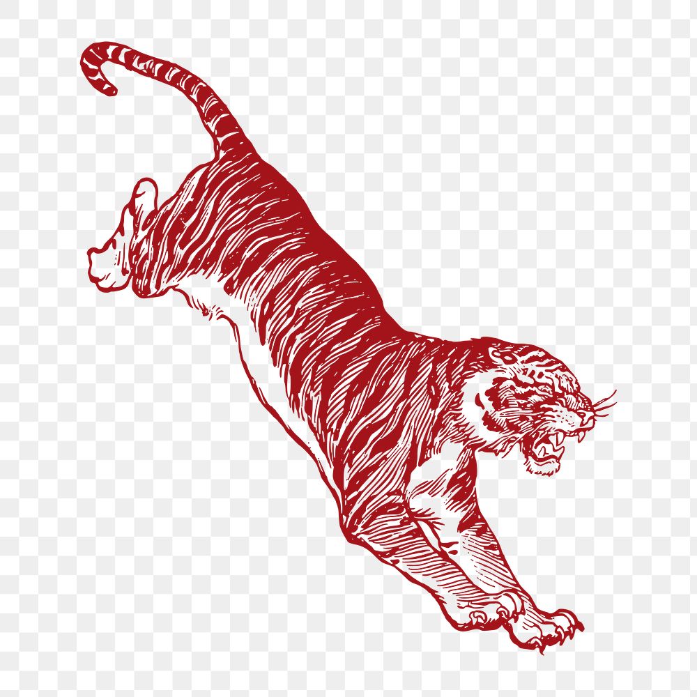 Tiger png sticker, animal illustration, transparent background