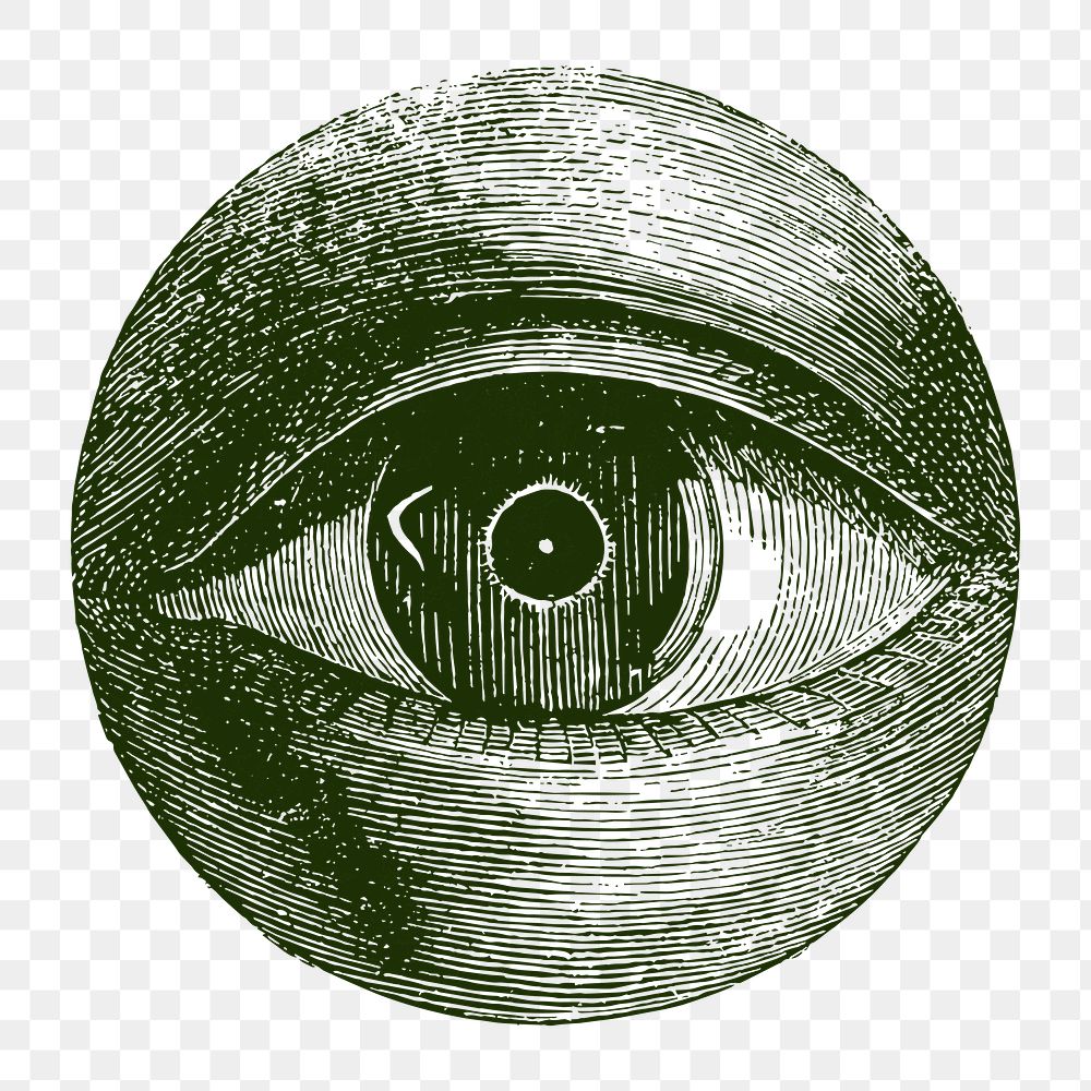 Human eye png sticker, vintage illustration, transparent background