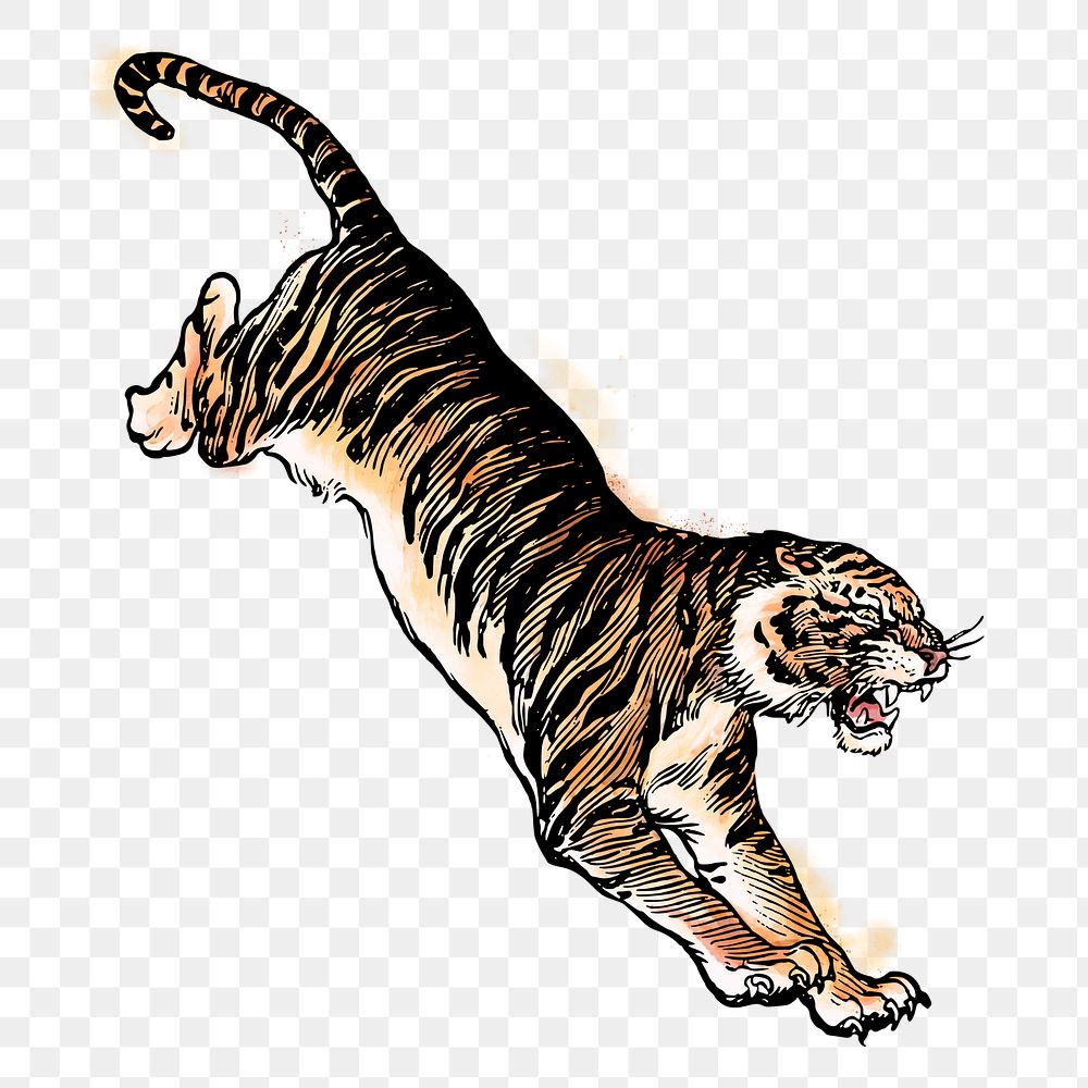 Jumping tiger png sticker, animal watercolor illustration, transparent background