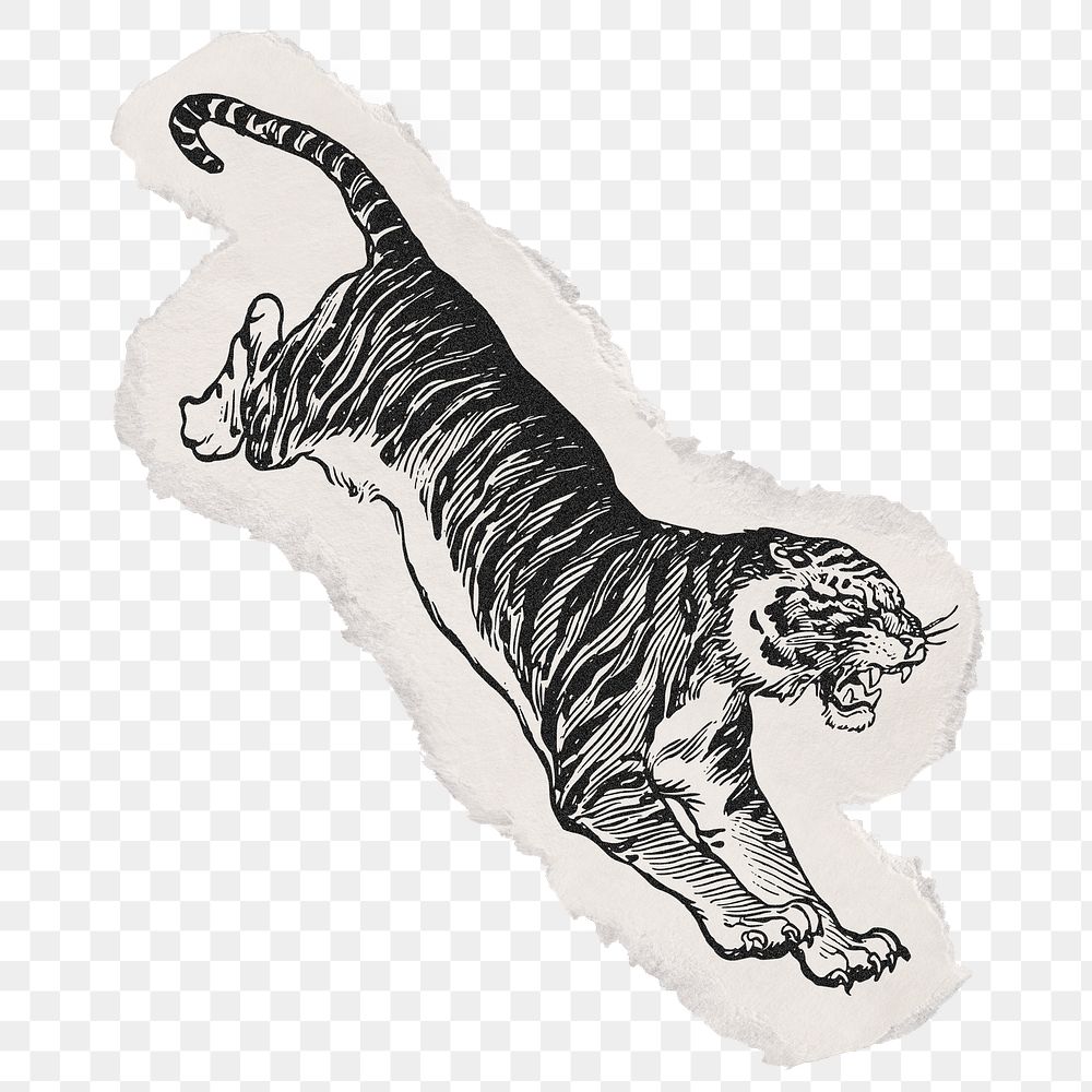 Jumping tiger png sticker, ripped paper, animal illustration, transparent background