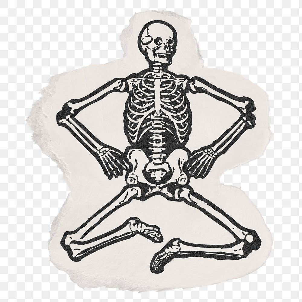 Human skeleton png sticker, ripped paper, vintage illustration, transparent background