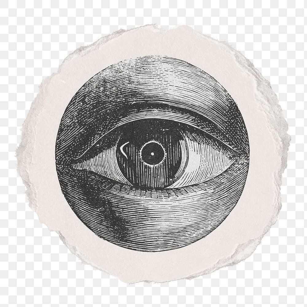 Eye etching png sticker, ripped paper, vintage illustration, transparent background. 