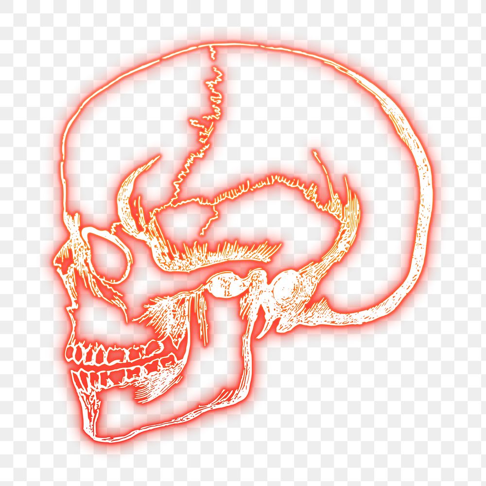 Skull png sticker, red neon, Halloween illustration, transparent background