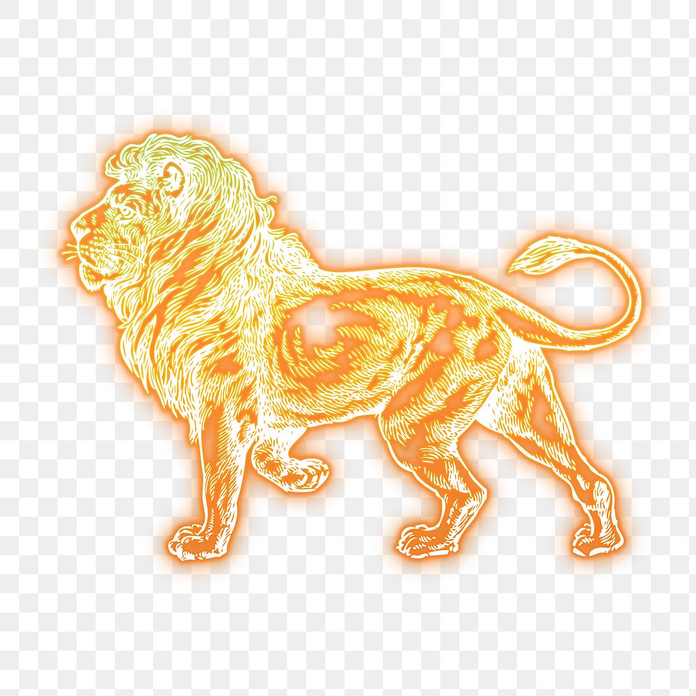 Lion png sticker, gold neon, animal illustration, transparent background