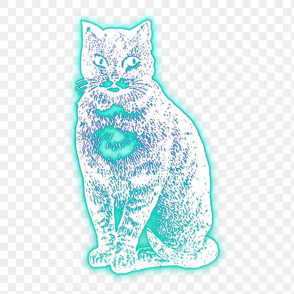 Cat png sticker, blue neon, animal illustration, transparent background