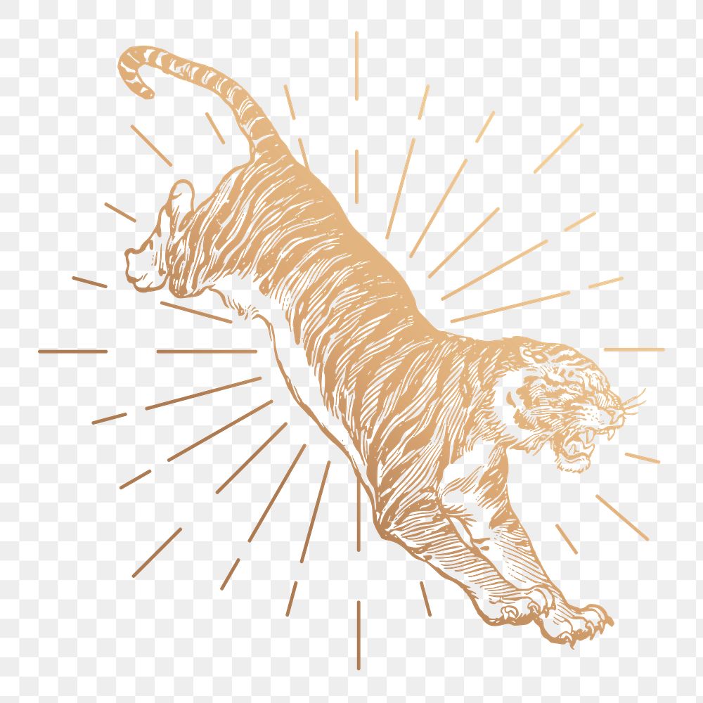 Jumping tiger png sticker, vintage animal, gold illustration, transparent background