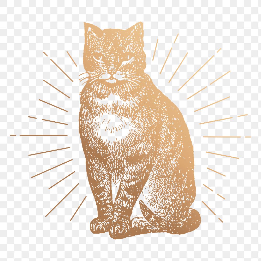 Cat png sticker, vintage animal gold illustration, transparent background