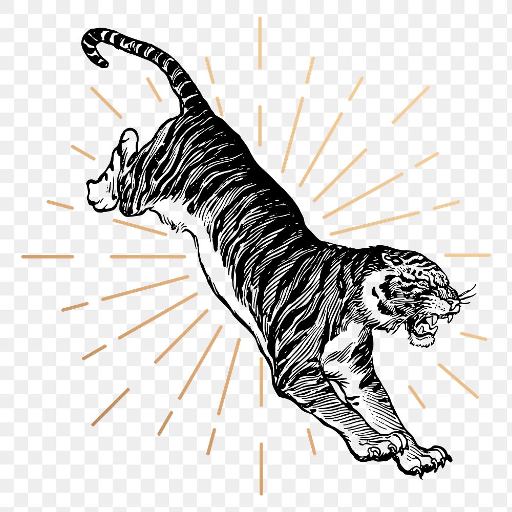 Jumping tiger png sticker, vintage animal illustration, transparent background