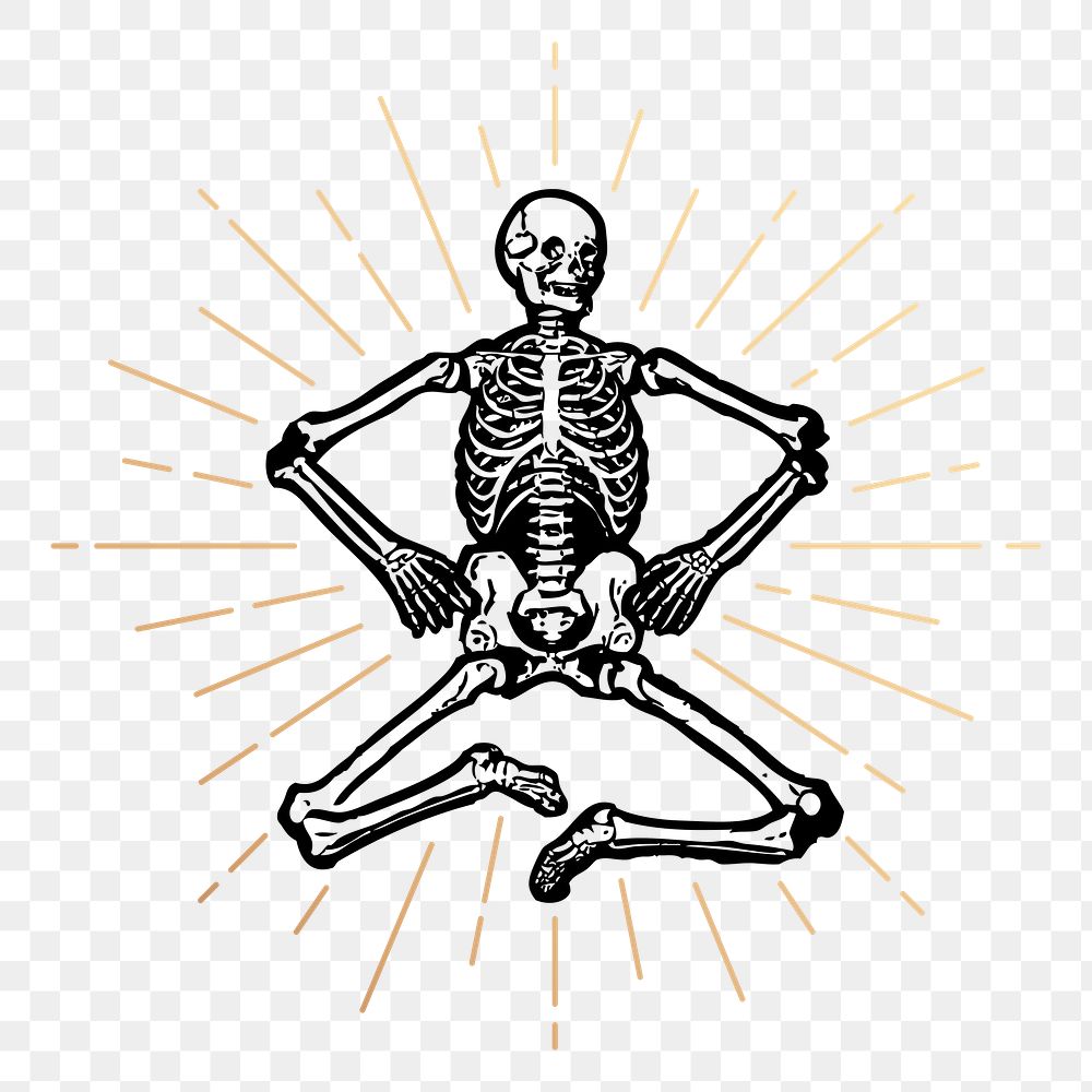 Human skeleton png sticker, vintage goth illustration, transparent background