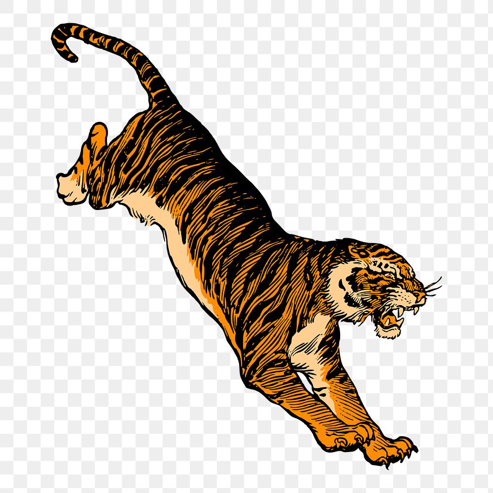 Jumping tiger png sticker, vintage animal illustration, transparent background