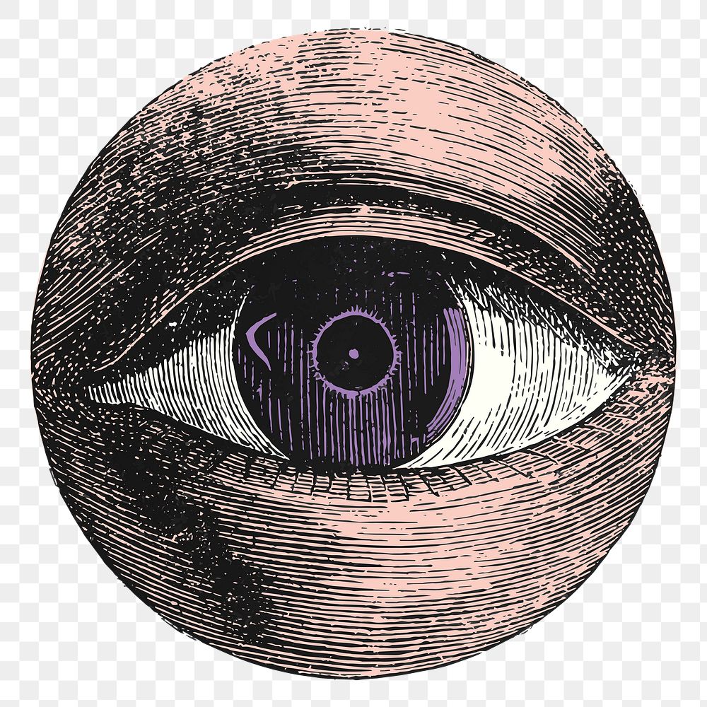 Eye etching png sticker, vintage illustration, transparent background