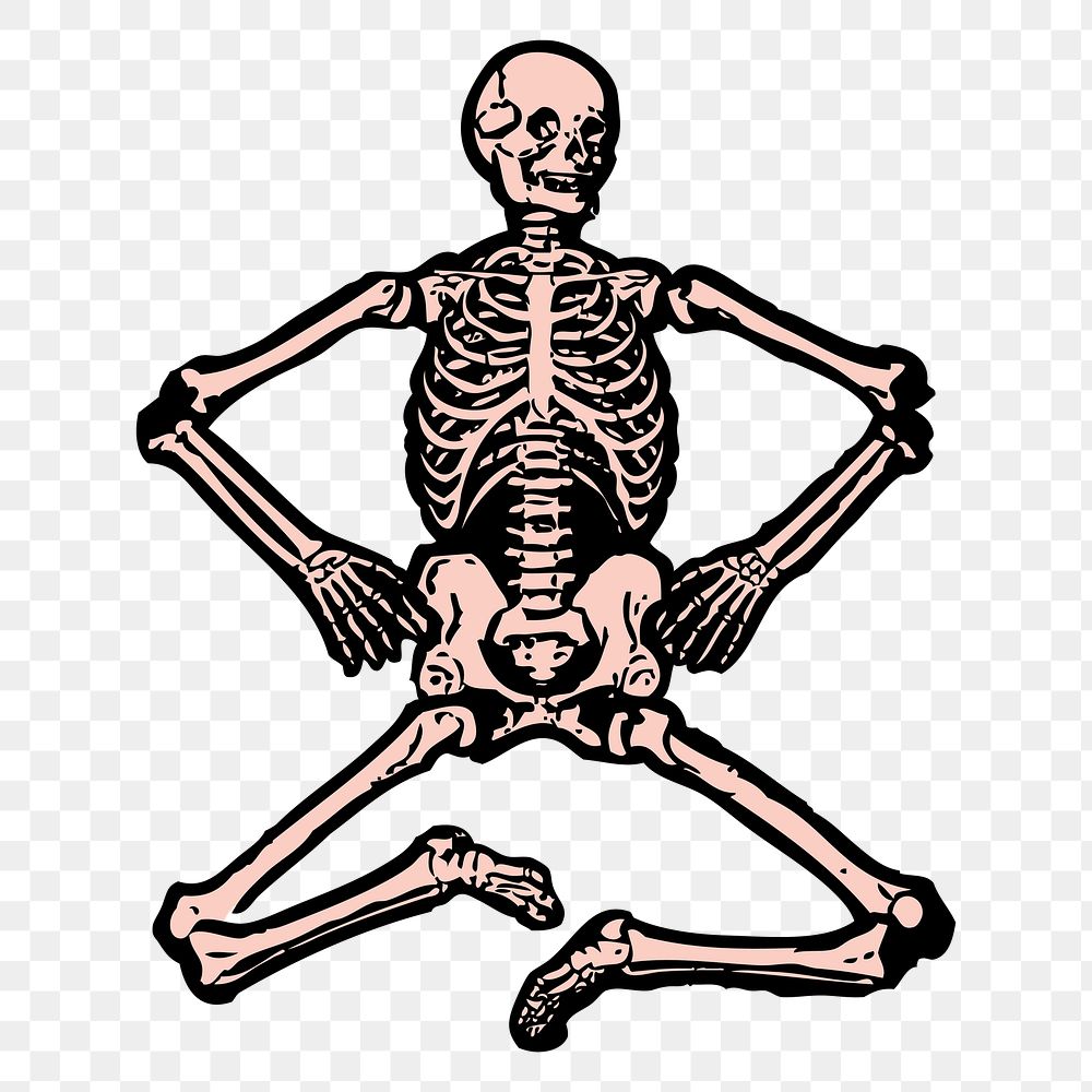 Human skeleton png sticker, Halloween aesthetic, vintage illustration, transparent background