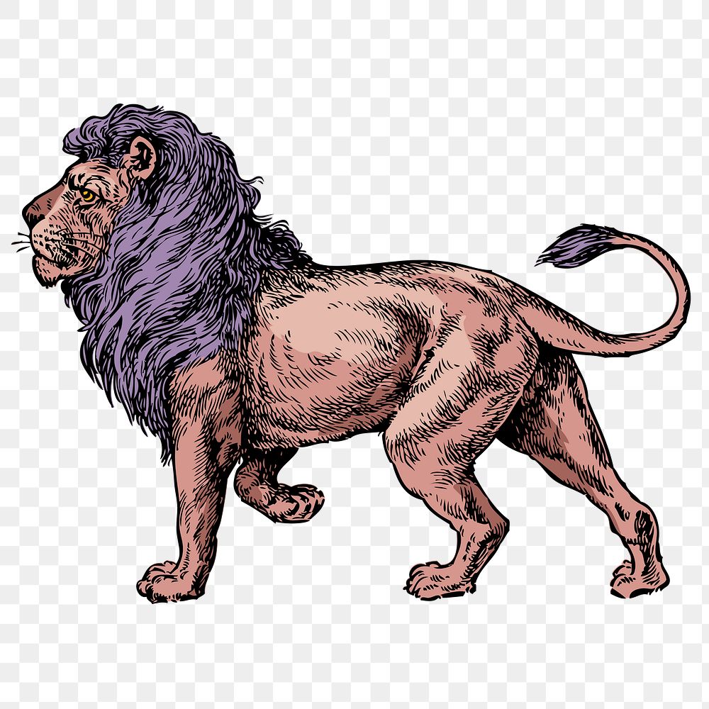Lion png sticker, animal vintage illustration, transparent background