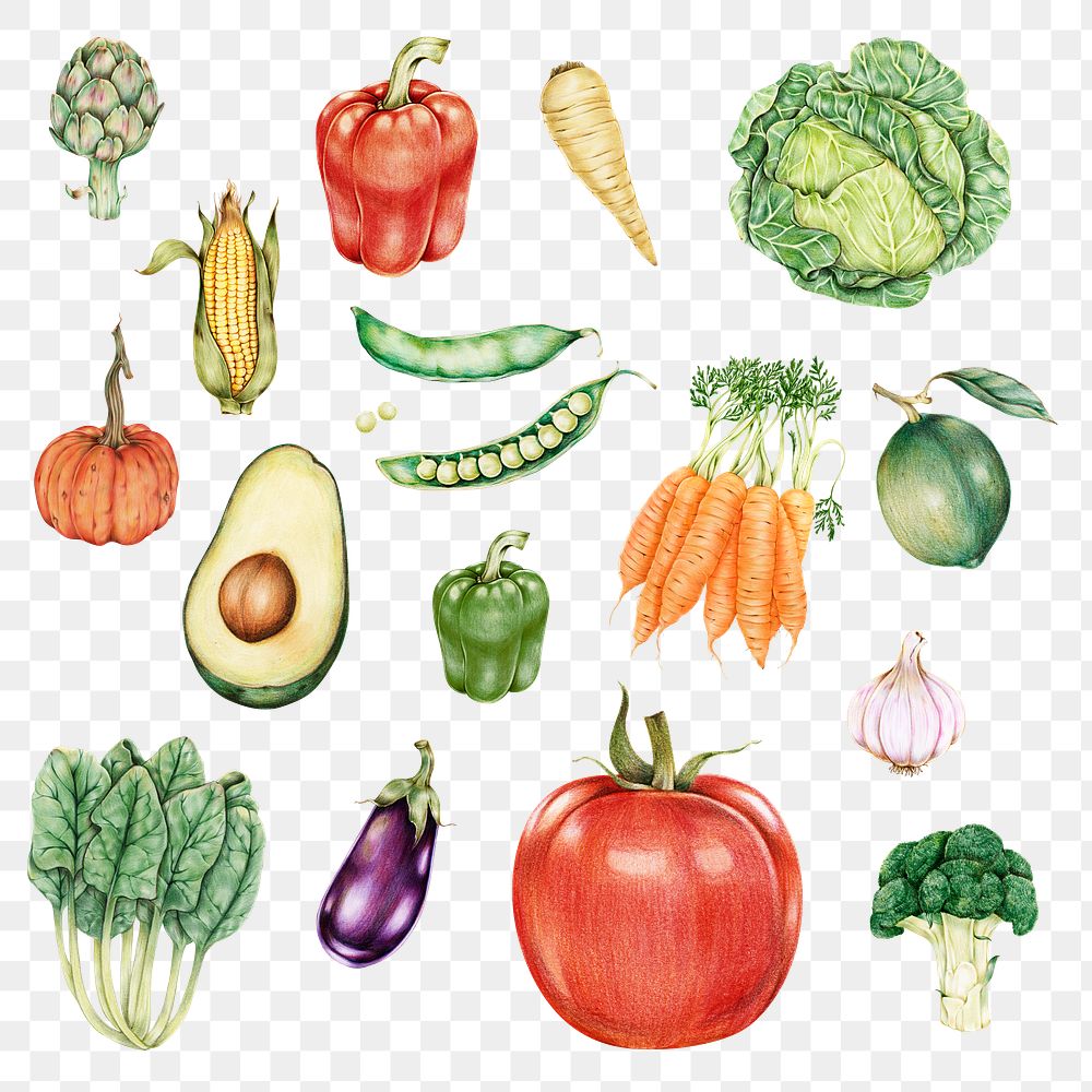 Vegetables sticker png organic botanical illustration mixed
