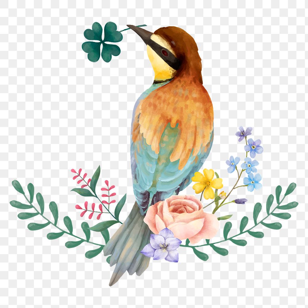 Watercolor bird sticker png botanical drawing clipart