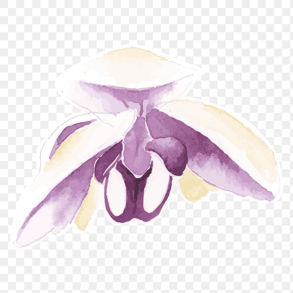 Purple orchid flower transparent png watercolor sticker