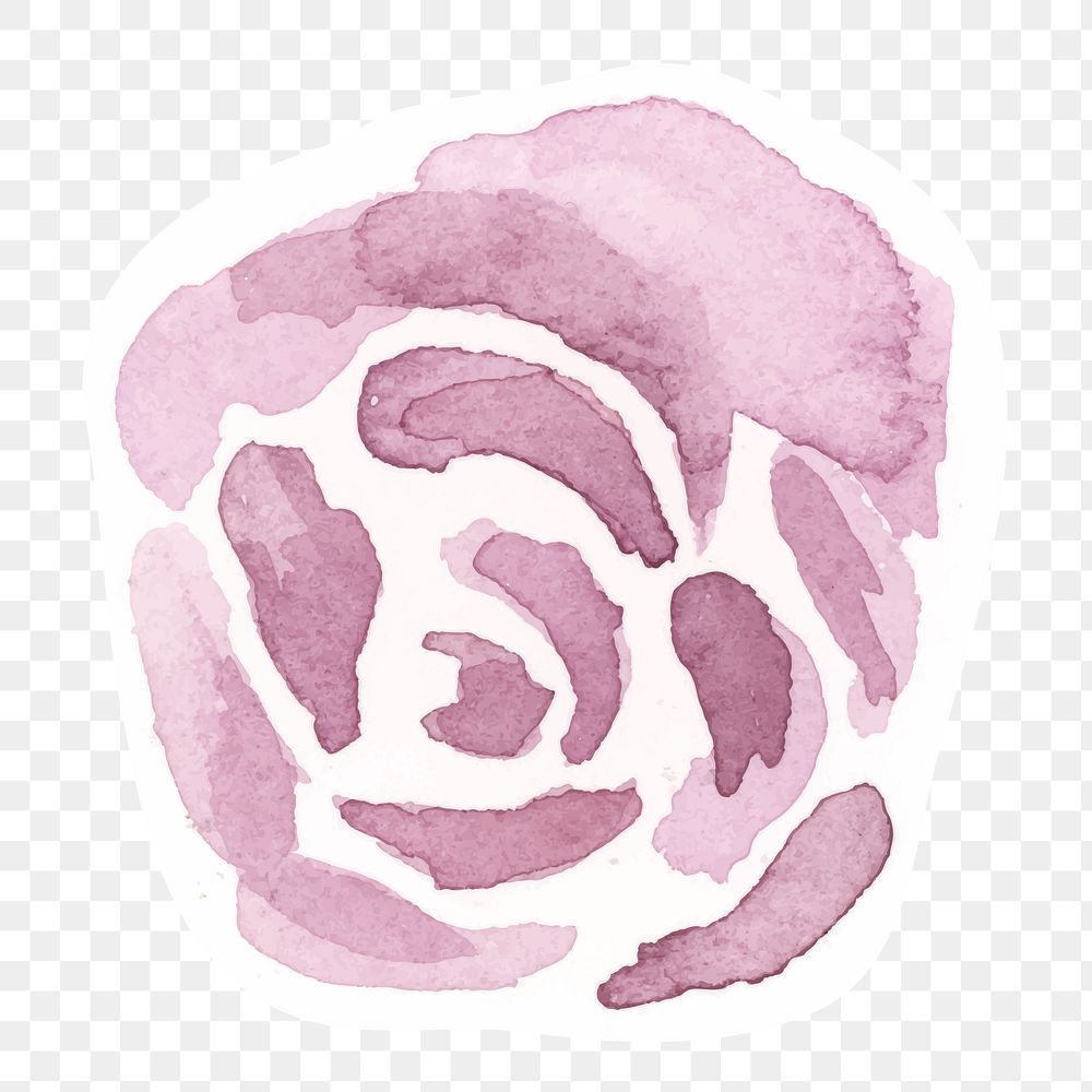 Classic pink rose png hand drawn watercolor flower