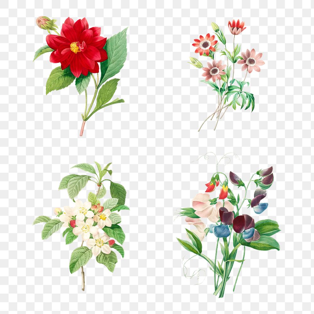Flower sticker overlay design element set 