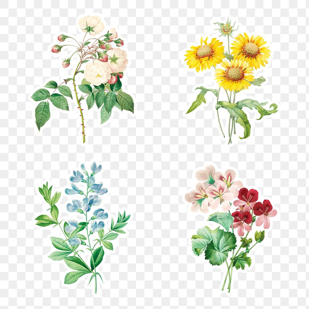 Flower sticker overlay design element set 