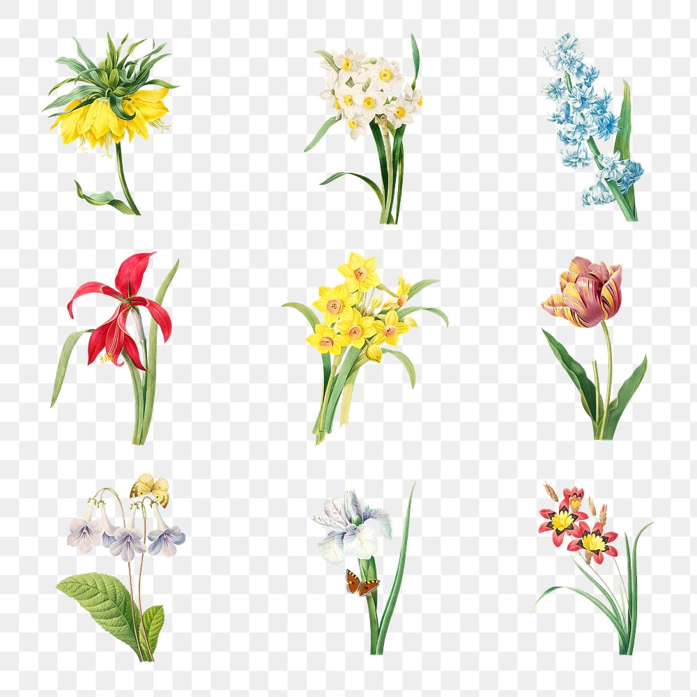 Flower sticker overlay design element set 