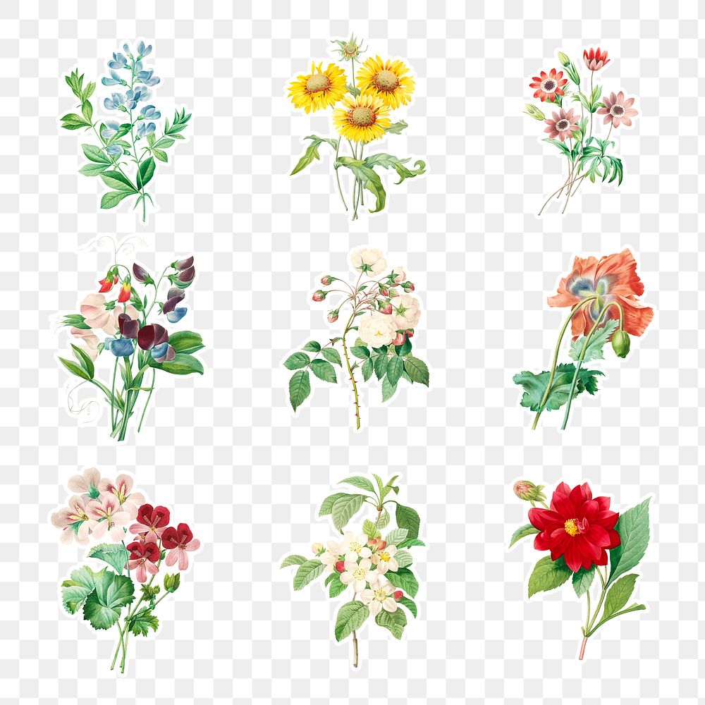 Flower sticker overlay design element set 
