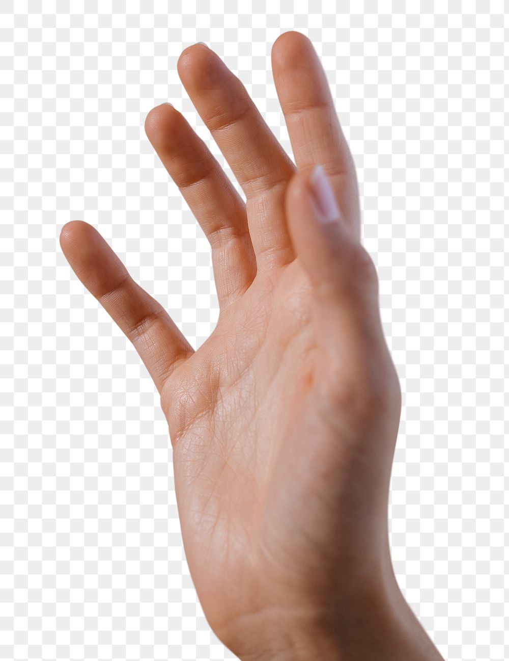 Hand raising up in the air transparent png