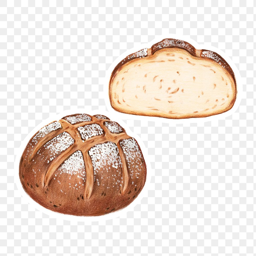 Fresh sourdough bread png golden brown illustrated