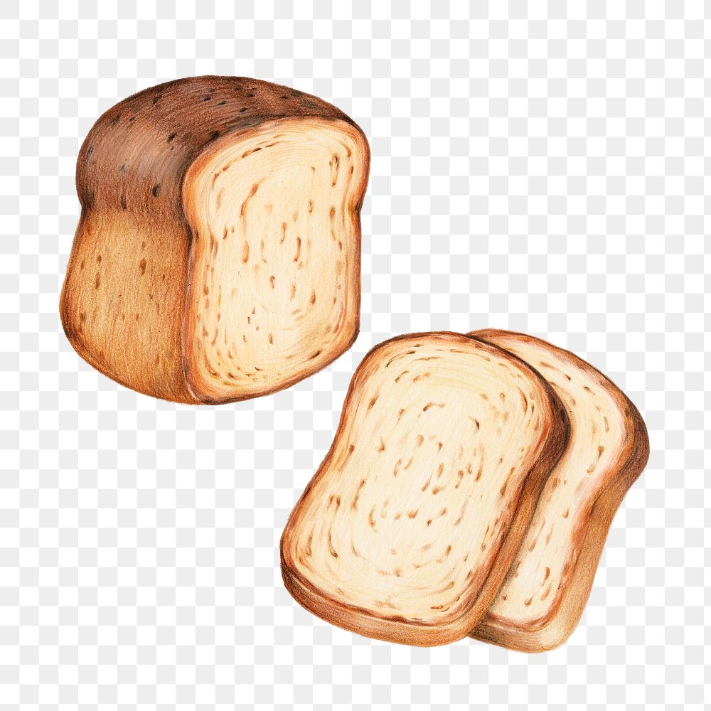 Bread illustrated organic food png sticker