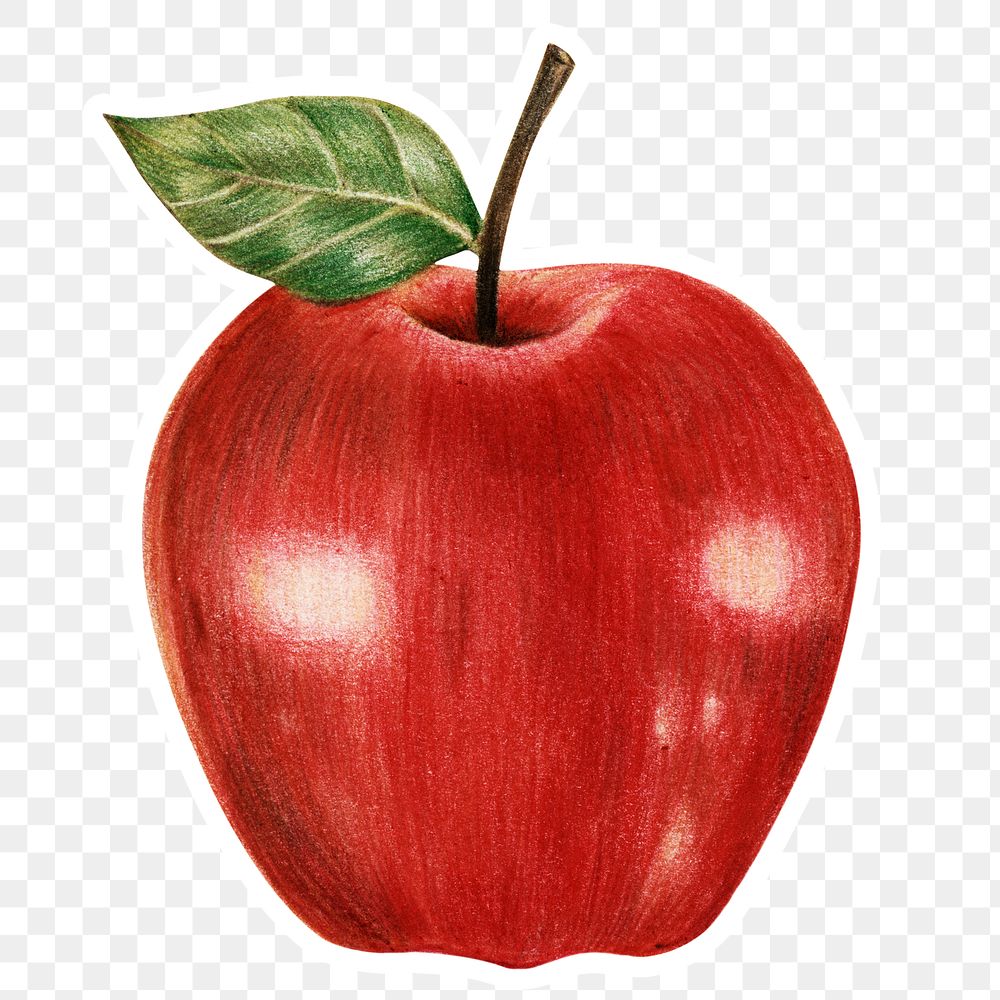 Vintage red apple sticker png illustration