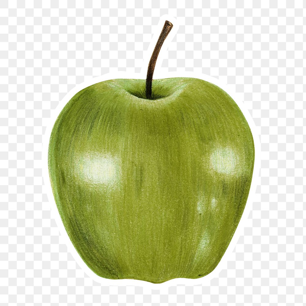 Green apple fruit illustration png organic food hand drawn