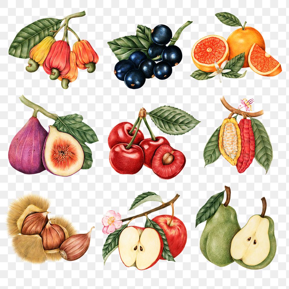 Hand drawn fruit sticker design element set
