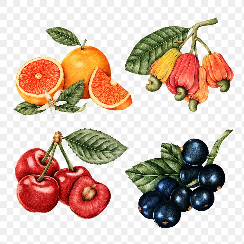 Hand drawn fruit sticker design element set