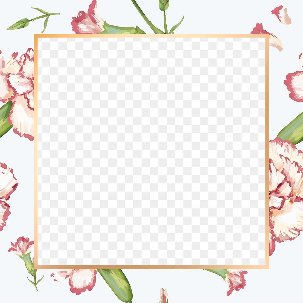 Gold square carnation flower frame design element 