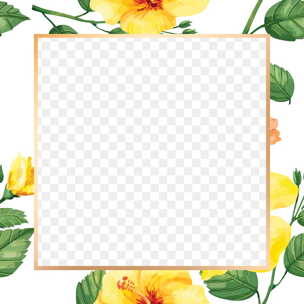 Gold square hibiscus flower frame design element