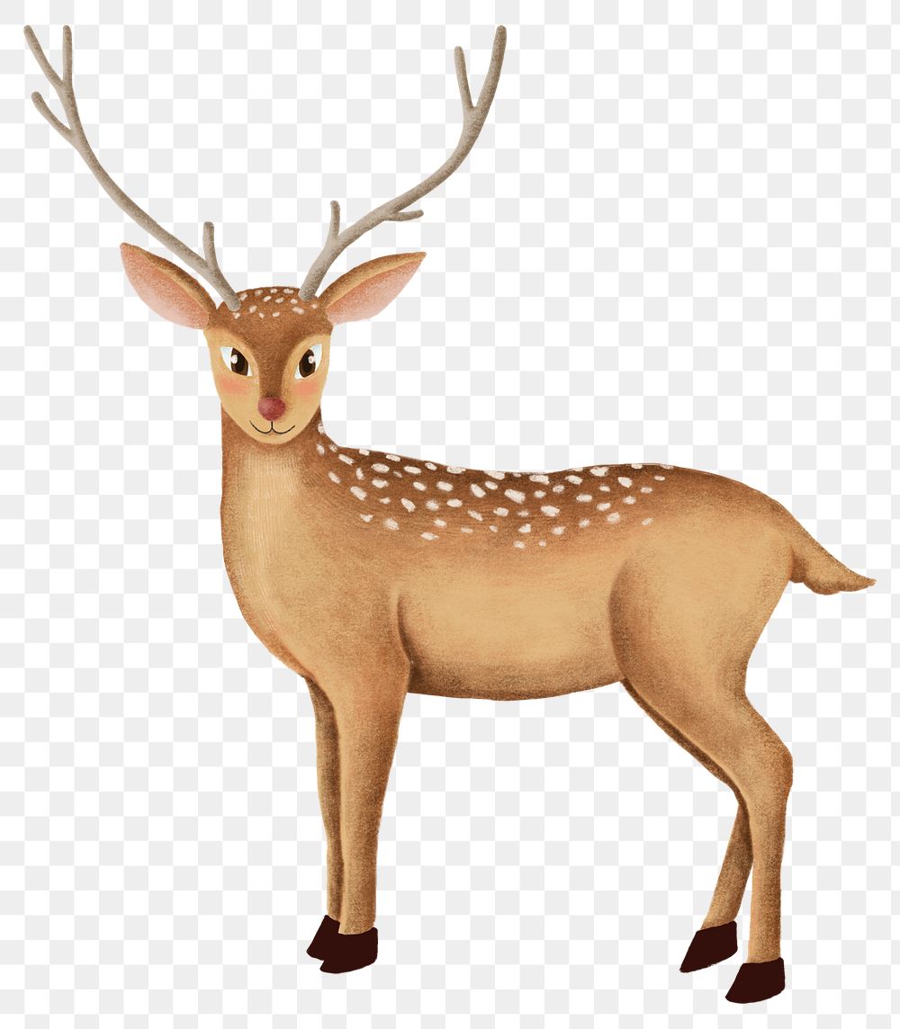 Cute fallow deer animal png sticker drawing