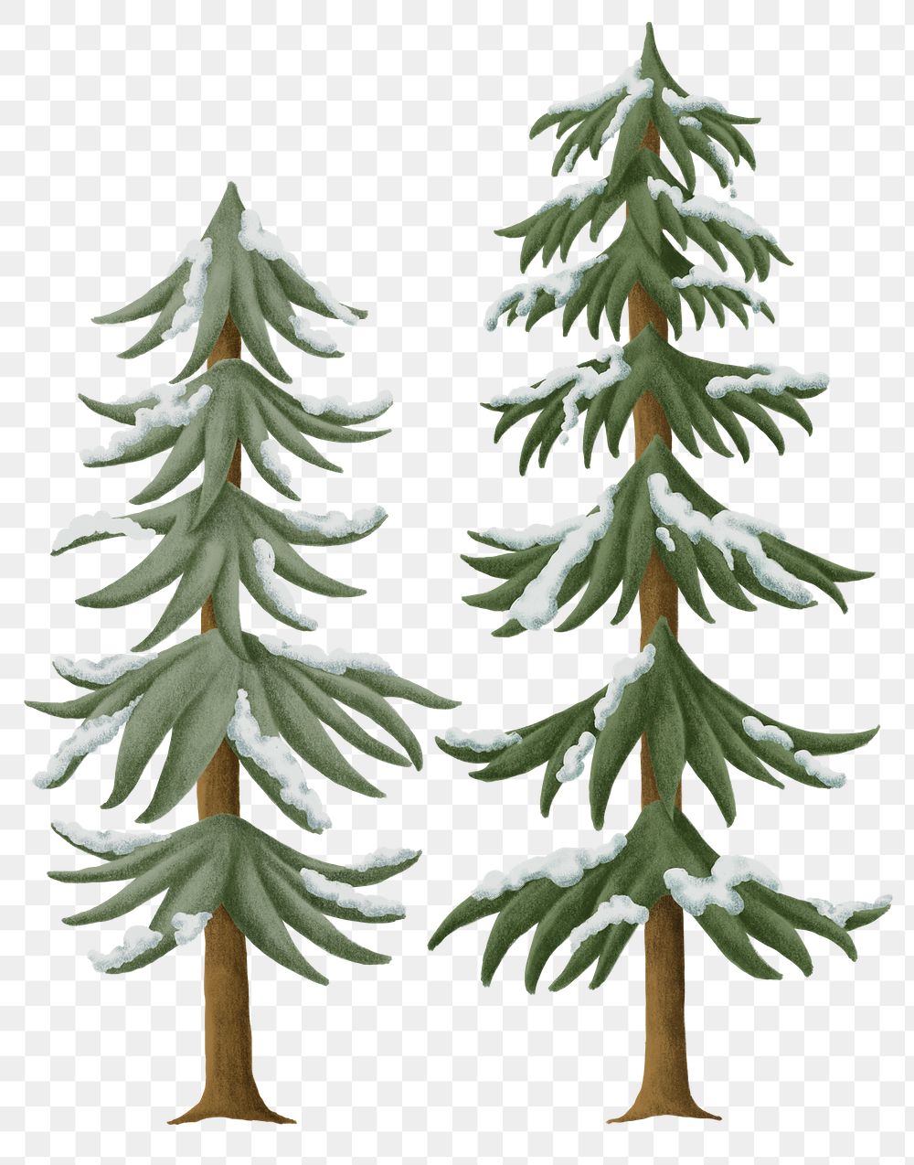 Winter pine tree png sticker Christmas season set